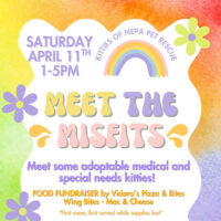 Meet the Misfits: Lunch Fundraiser image