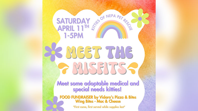 Meet the Misfits: Lunch Fundraiser image