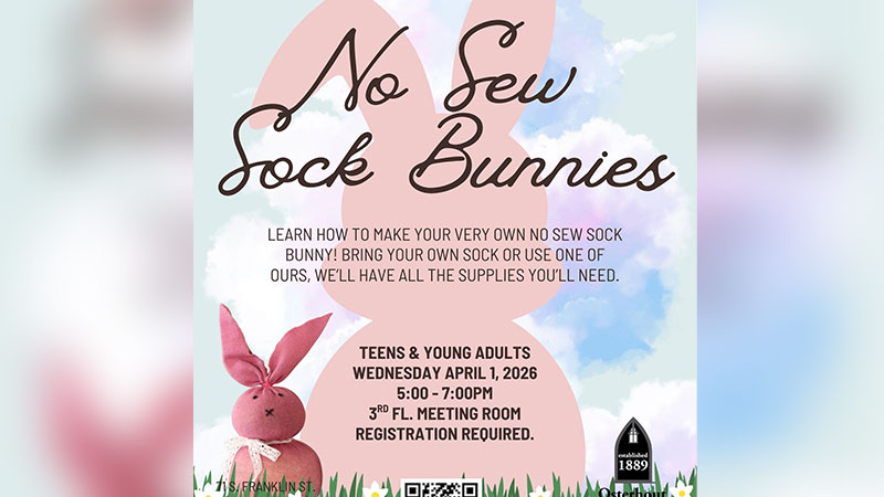 No-Sew Sock Bunnies Workshop image