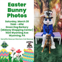 Photos with the Easter Bunny image