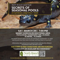 Secrets of Seasonal Pools – Amphibian Migration Walk image