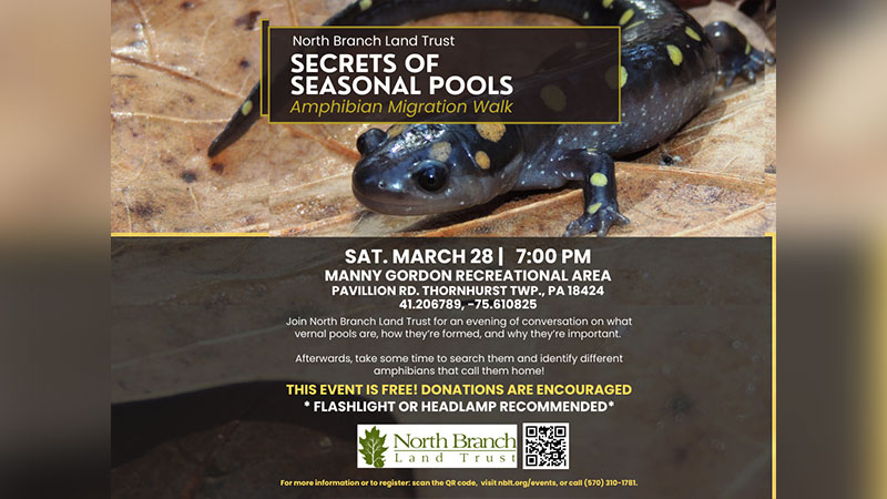 Secrets of Seasonal Pools - Amphibian Migration Walk image