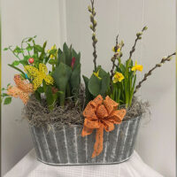 Jennifer Barnasevitch: Smith Floral Holiday Arrangements image