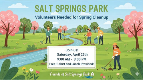 Spring Cleanup Day image