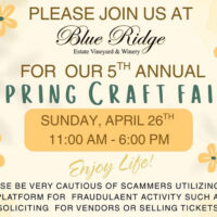 Spring Craft Fair image