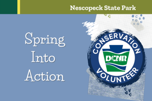 Flyer for the Spring Into Action Volunteer Clean Up Day at Nescopeck State Park in Drums, PA.