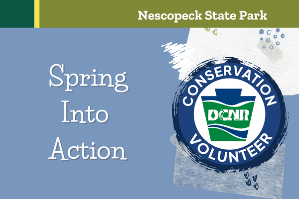 Flyer for the Spring Into Action Volunteer Clean Up Day at Nescopeck State Park in Drums, PA.
