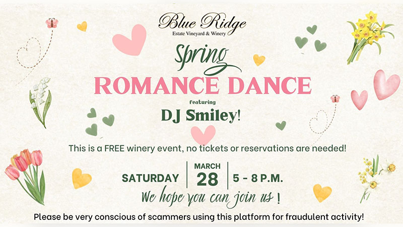 Spring Romance Dance image