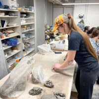 Throwdown with Joni Mazzie image