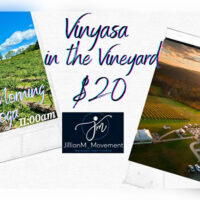 Vinyasa in the Vineyard image