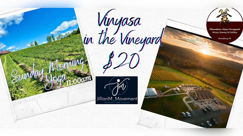 Vinyasa in the Vineyard image