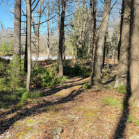 Walk It Off – Early Spring Hike image