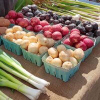 Wayne County Farmers Market image