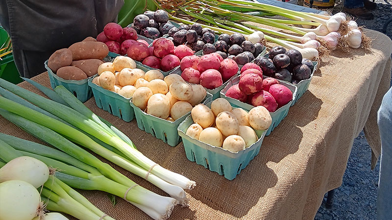 Wayne County Farmers Market image