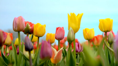 Spring Outdoor Adventures in NEPA image