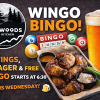Wingo Bingo image
