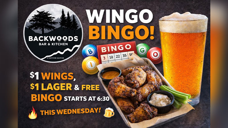Wingo Bingo image