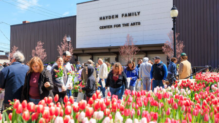 Picture This: Tulip Takeover at CAN DO Park in Hazleton image