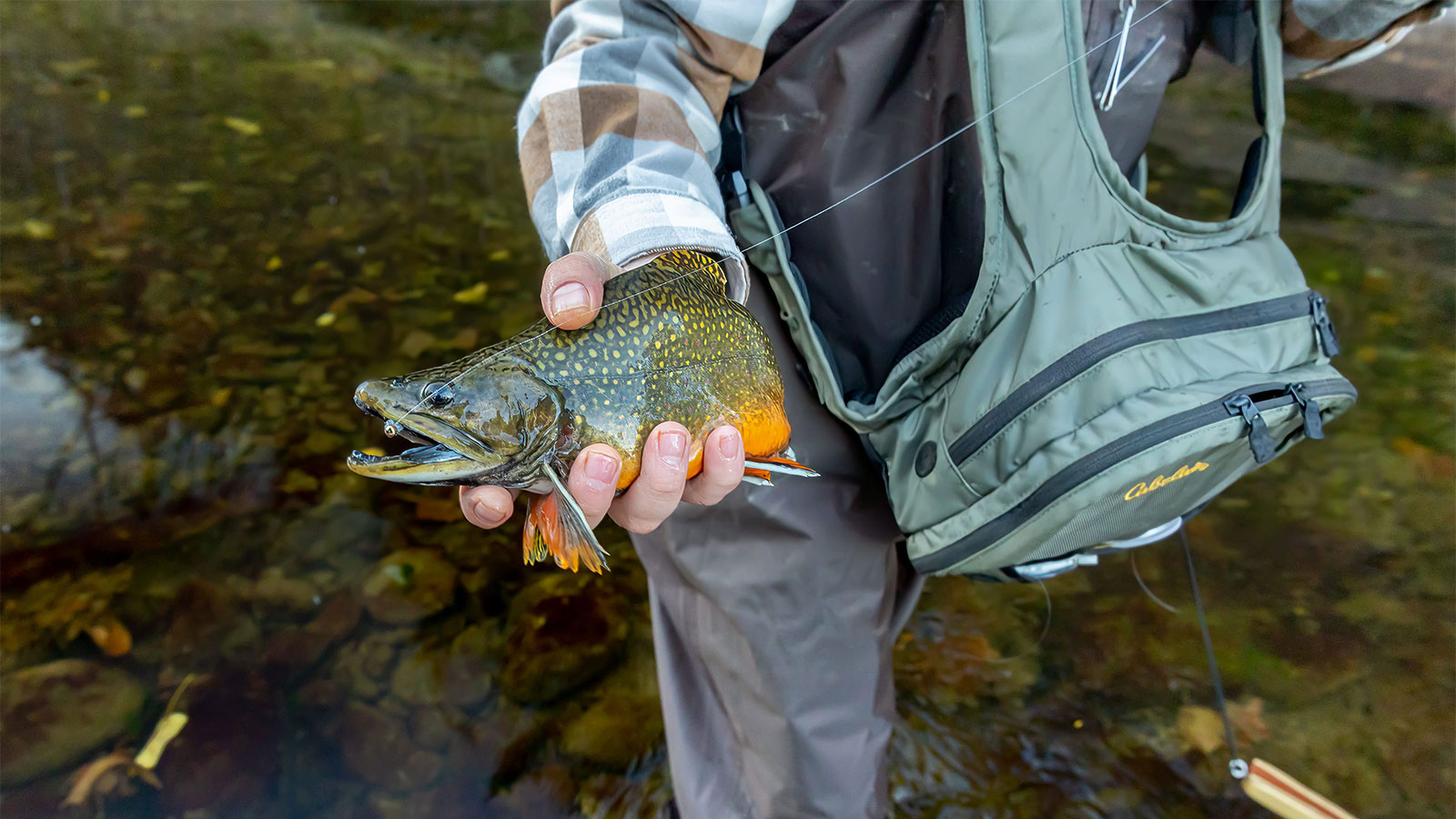 A fisherman holds a trout he just caught at Sensecat Trail County Park in Tunkhannock, PA