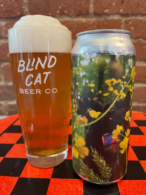 A pint of pilsner at Blind Cat Beer Co. in Pittston, PA.