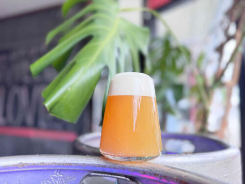 A glass of beer at Pilger Ruh Brewing in Pottsville, PA.